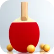 Virtual Table Tennis