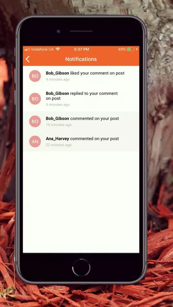 ECHO Means Business Screenshots