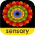 Sensory Coloco - Symmetry Painting and Visual Effects