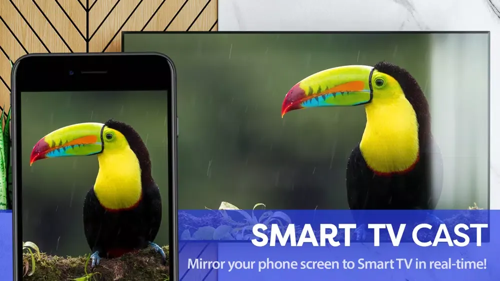 Smart TV Cast - Screen Mirror স্ক্রিনশট