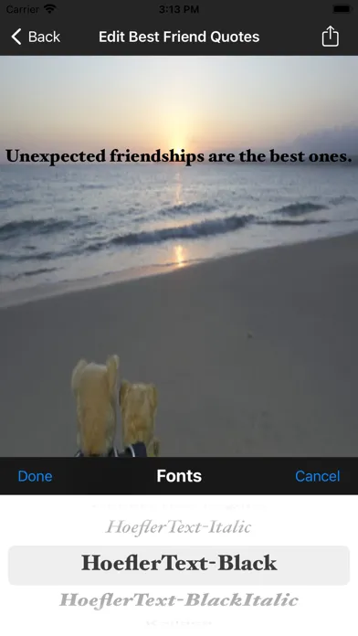 Best Friend Quotes应用截图