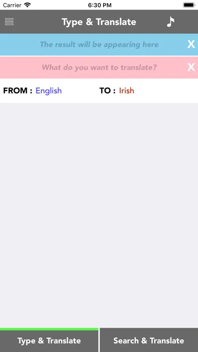 English to Irish Translator应用截图