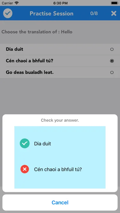 English to Irish Translator应用截图