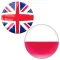 English to Polish Translate