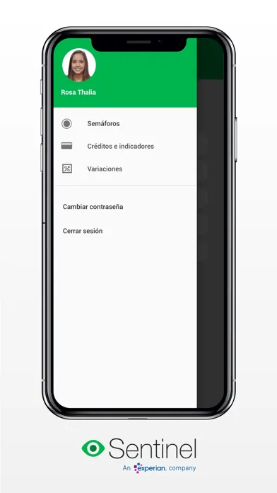 تصاویر Sentinel PyME
