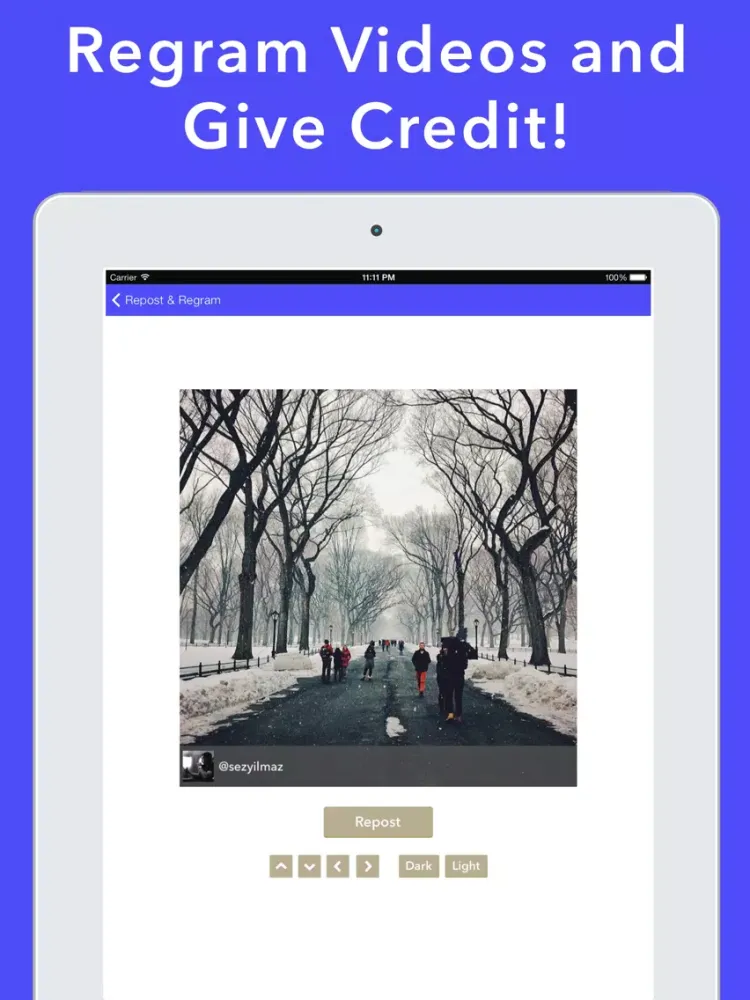 Tangkapan layar Story Reposter + iPad 