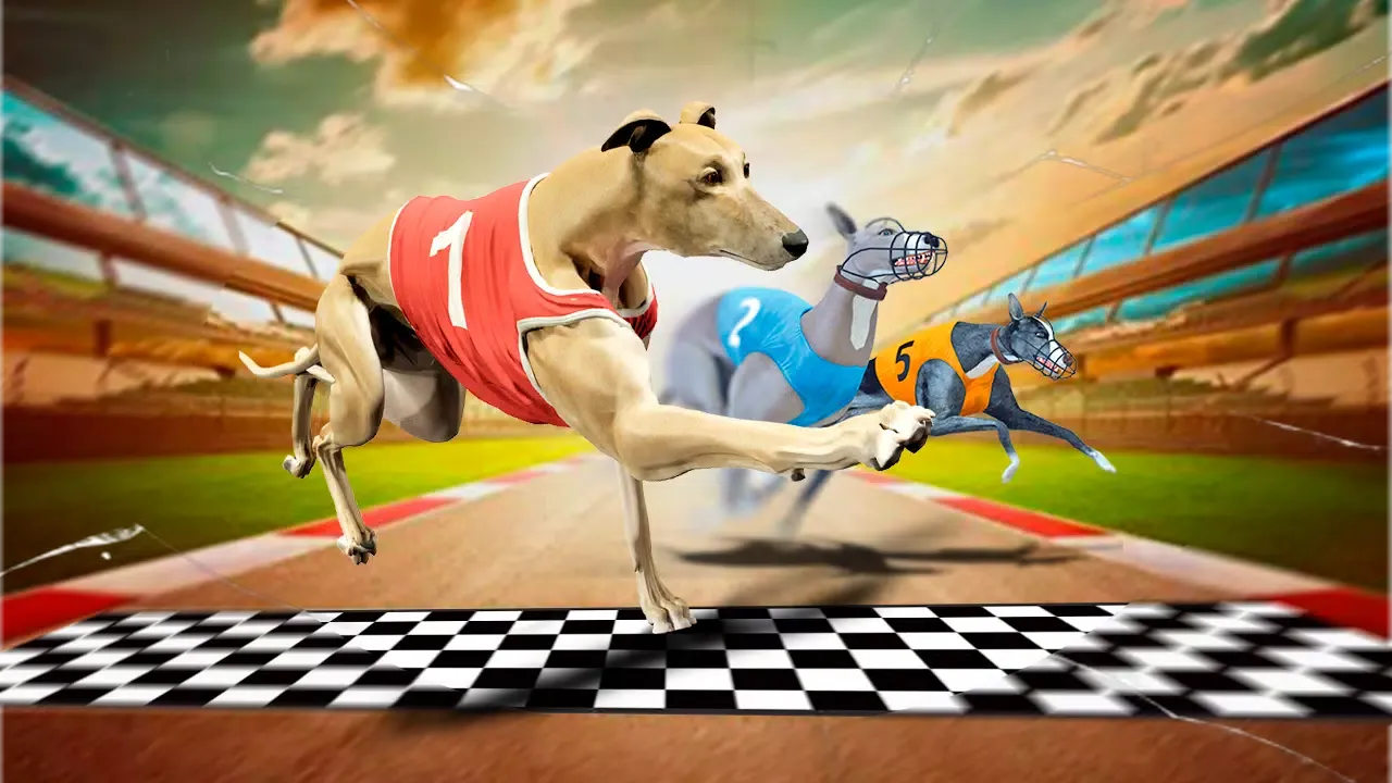 Dog Crazy Race Simulator 2021 Screenshots