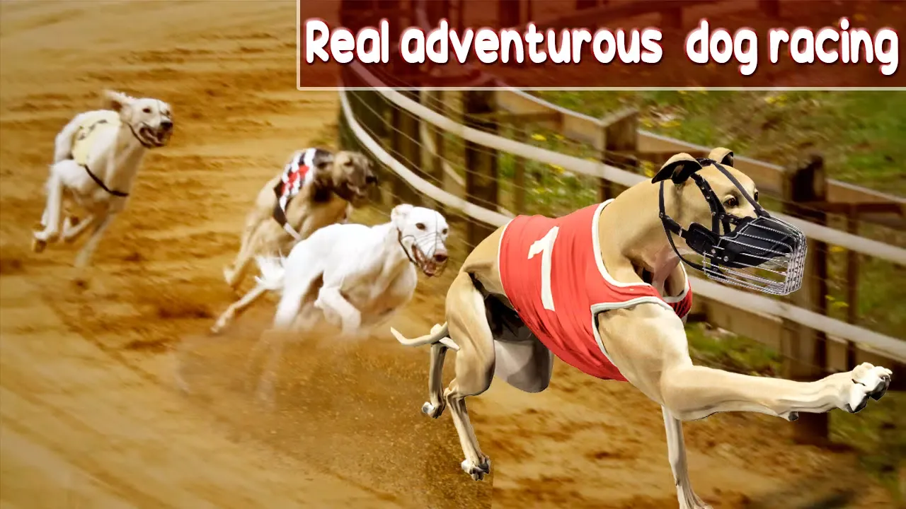 Dog Crazy Race Simulator 2021 Screenshots