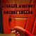 STEALTH MYSTERY-SECRET CELLAR