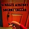 STEALTH MYSTERY-SECRET CELLAR