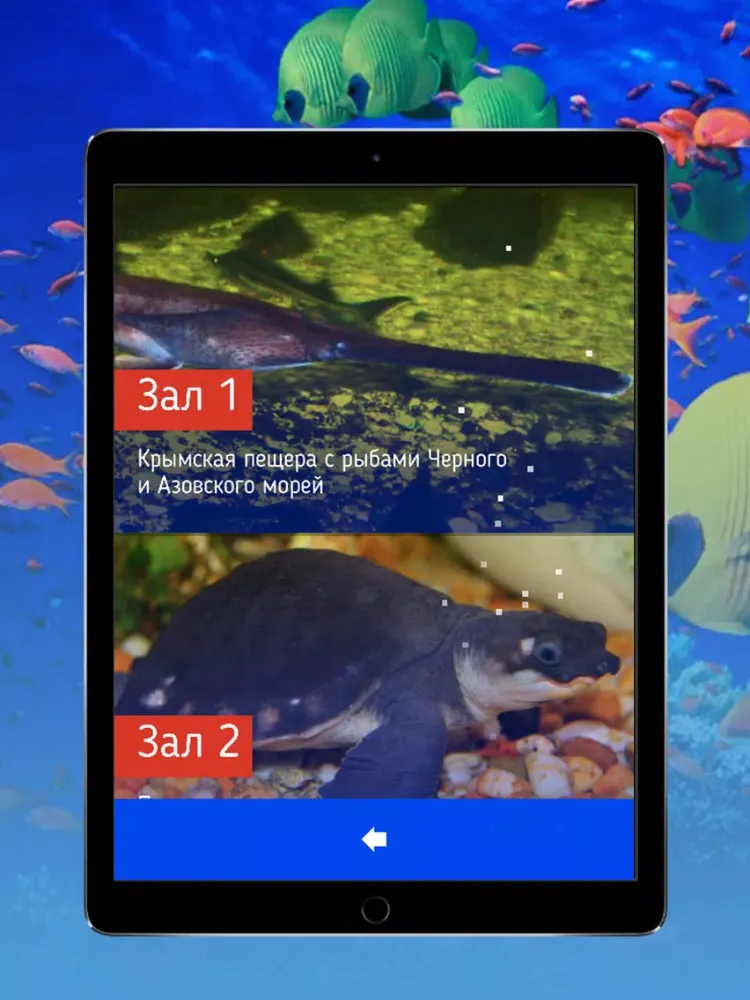 Capturas de pantalla de Аквариум Алушта iPad 