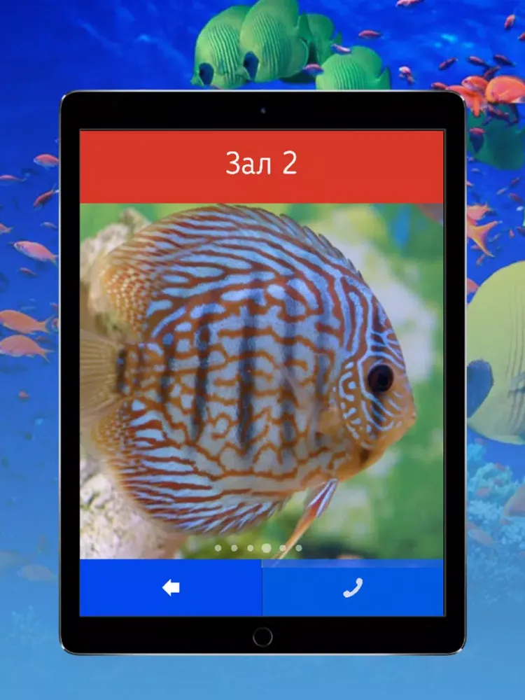 Capturas de pantalla de Аквариум Алушта iPad 