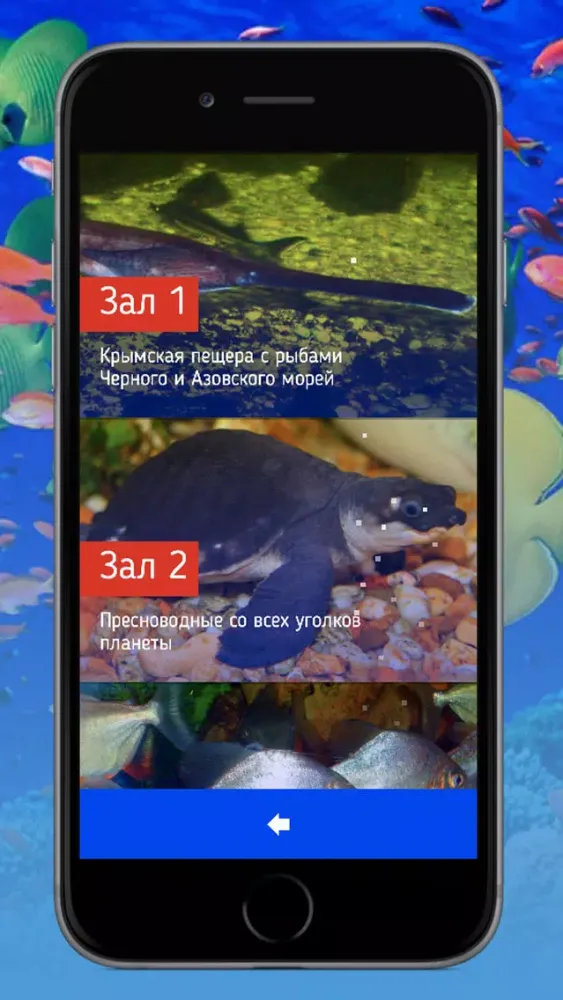 Capturas de pantalla de Аквариум Алушта