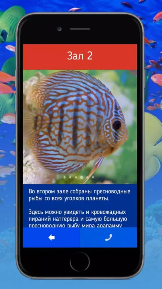 Capturas de pantalla de Аквариум Алушта