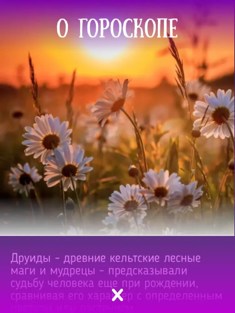 Цветочный гороскоп Друидов iPad  Screenshots