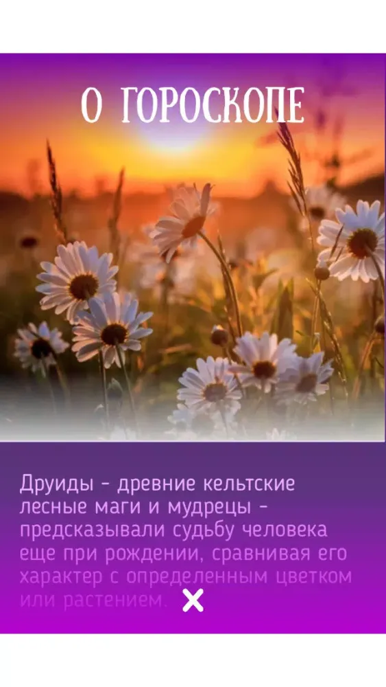 Цветочный гороскоп Друидов Screenshots