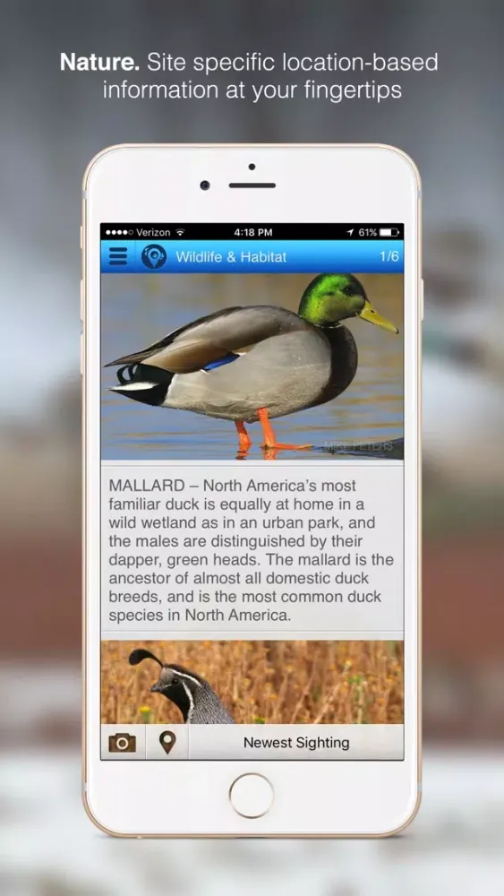 صور Discover Nature Virtual Signs