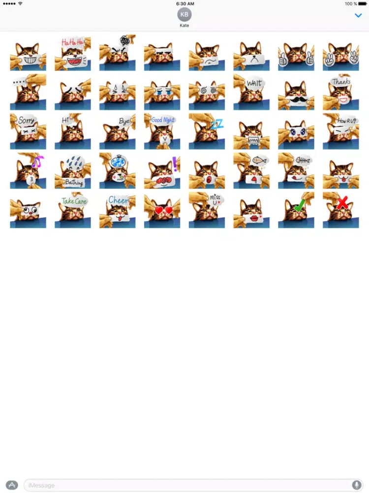 Zrzuty ekranu Meme cat iPad 