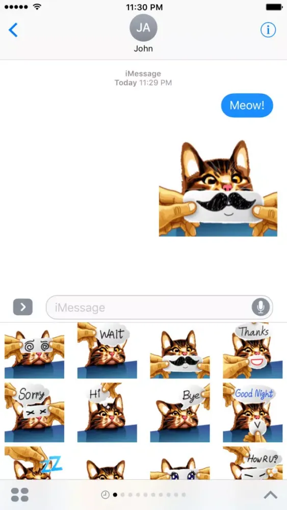 Zrzuty ekranu Meme cat