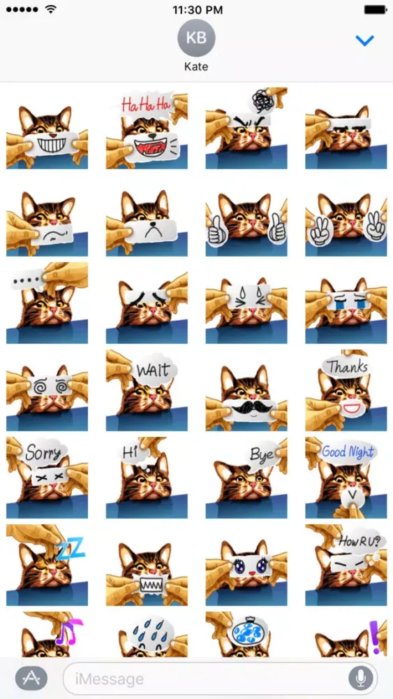 Zrzuty ekranu Meme cat