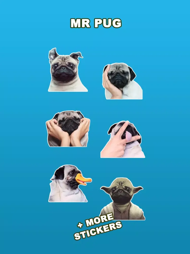 Pug dog iPad  سکرین شاٹس