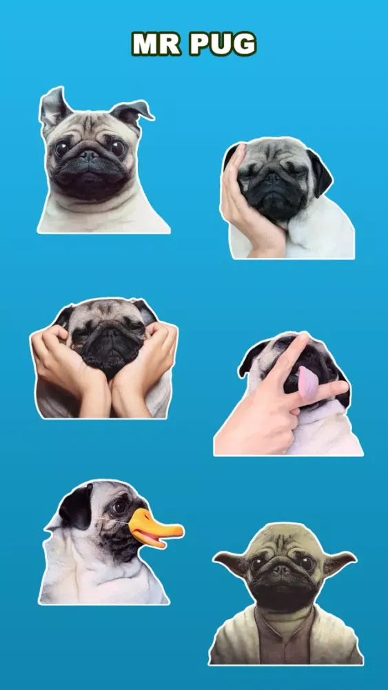 Pug dog سکرین شاٹس