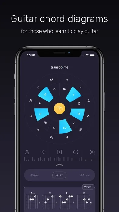 Скриншоты Chord Shifter by Transpo