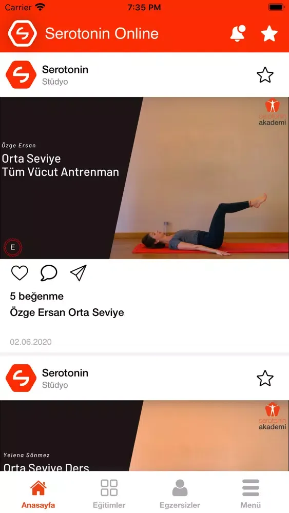 Serotonin Online应用截图