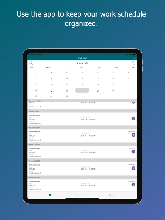Tangkapan layar ArchWorks iPad 