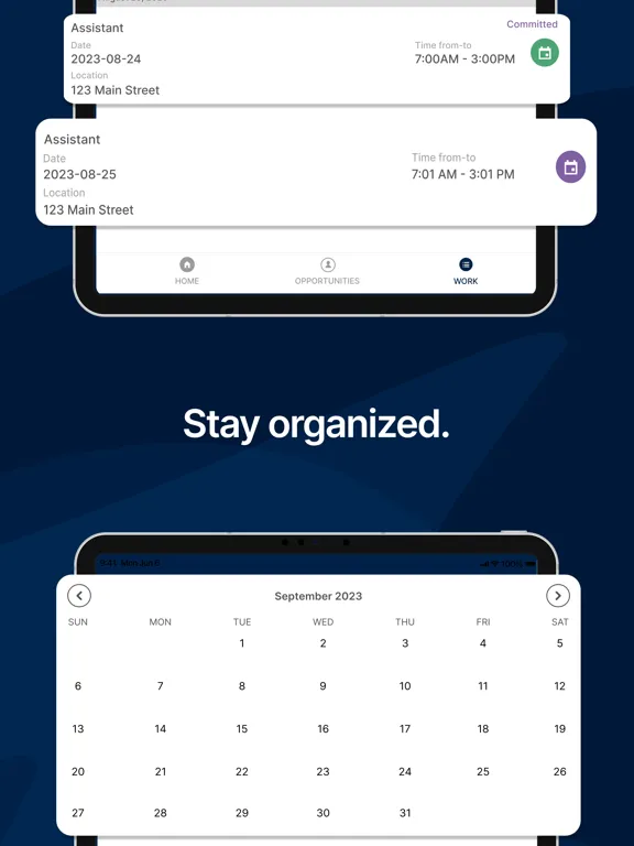 Zrzuty ekranu Alliance Workforce Solutions iPad 