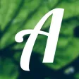 Arefay