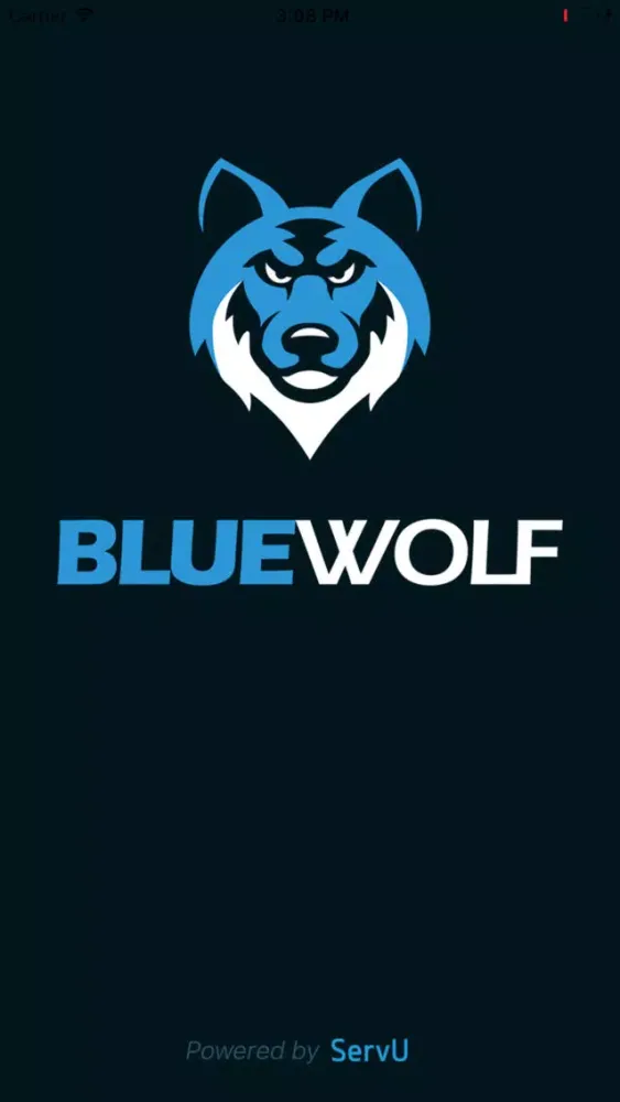 Blue Wolf Screenshots