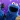 Cookie Calls