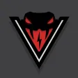 Viper Demo