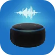 Smart Alexa voice Commands