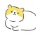 weird cat