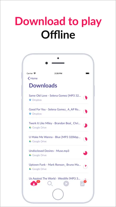 Cloud Music Offline Downloader應用截圖