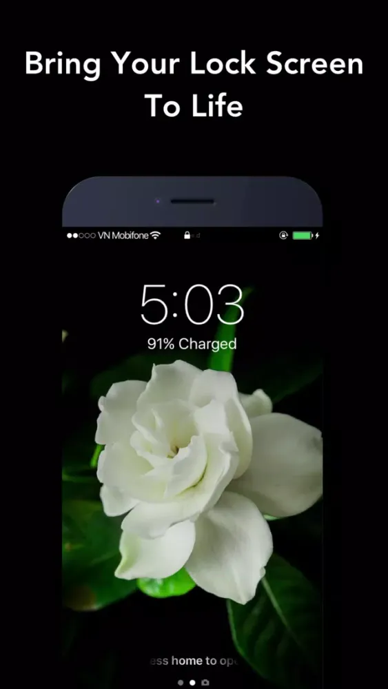 Live Wallpapers for iPhone. Screenshots