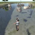 Canoe Dodge