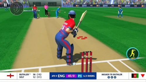 World Cricket Champions League-screenshot-4