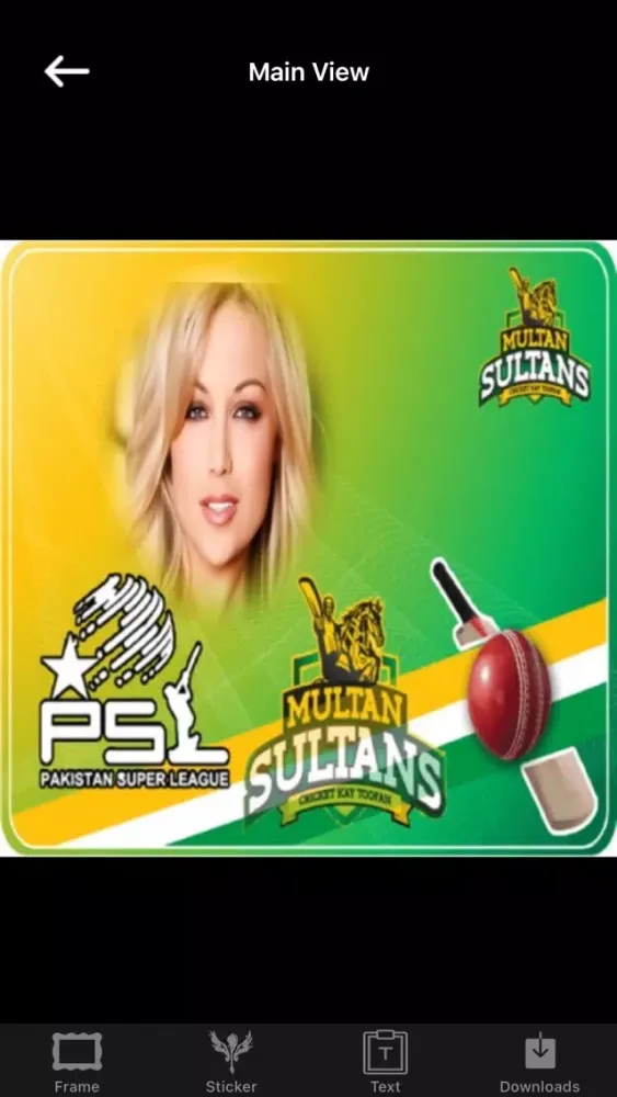 PSL 4 Photo Editor 2019应用截图