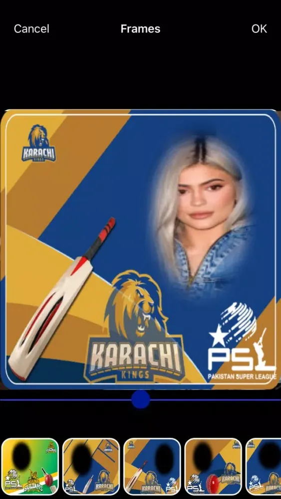 PSL 4 Photo Editor 2019应用截图