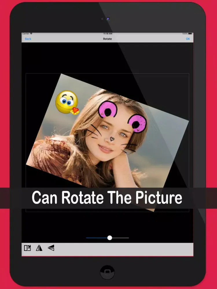 Pic Stickers & Filters Camera iPad  스크린샷