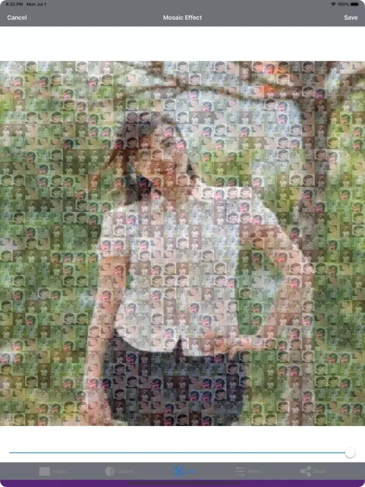Captures d'écran de Photo Editor – Mosaic Collage iPad 