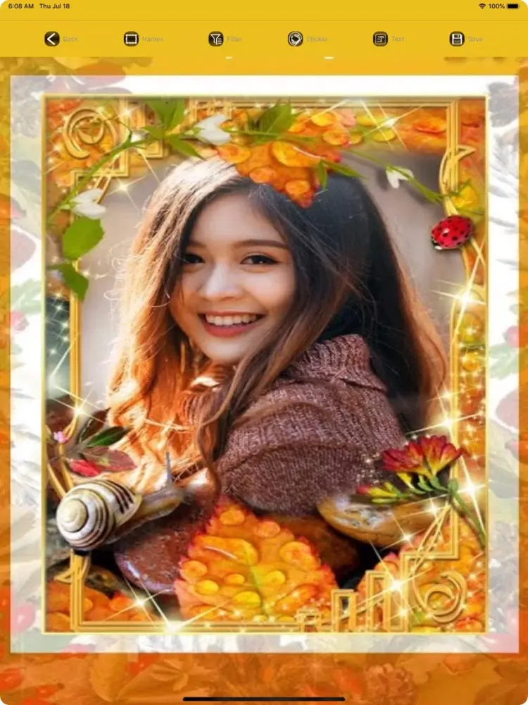 تصاویر Photo Effects & Stickers iPad 