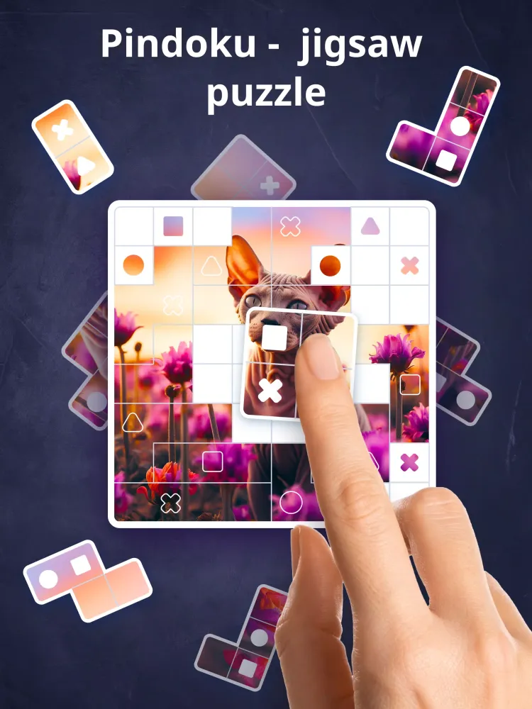 Pindoku Screenshots