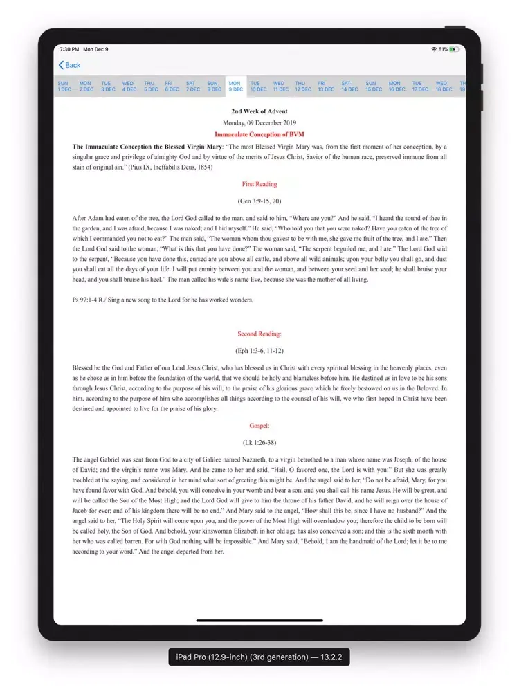 Zrzuty ekranu msfs iPad 