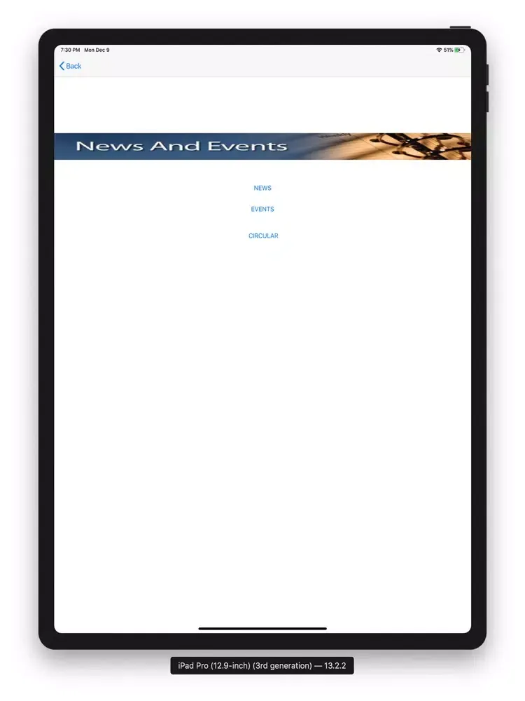 Zrzuty ekranu msfs iPad 