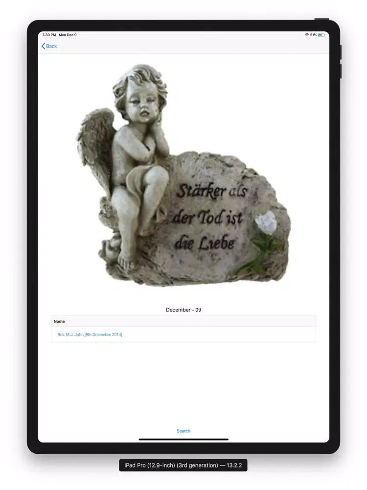 Zrzuty ekranu msfs iPad 