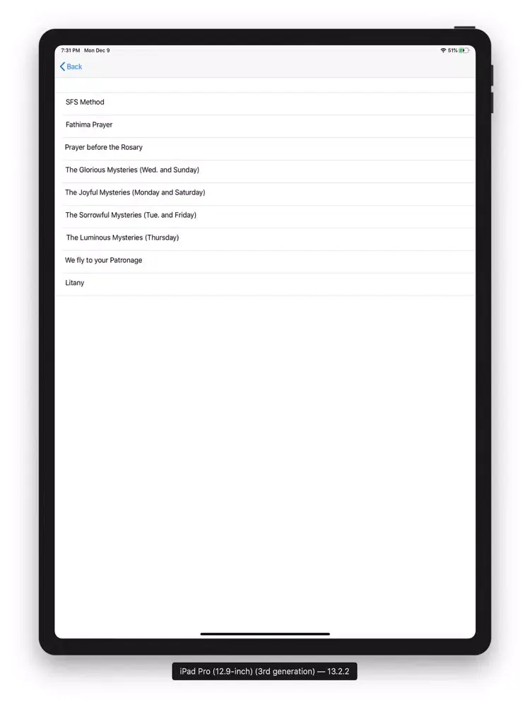 Zrzuty ekranu msfs iPad 